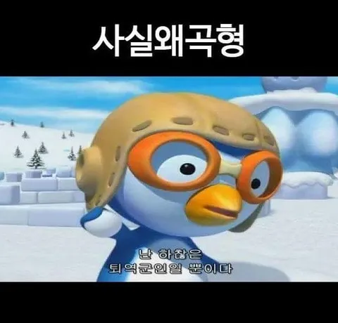 병자막의 다양한 유형 | 인스티즈