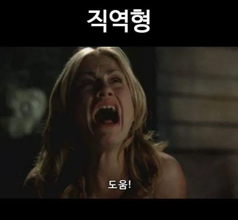 병자막의 다양한 유형 | 인스티즈