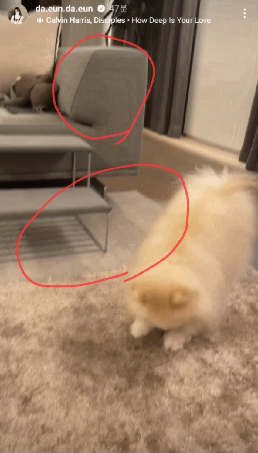 [정리글] 지민 팬들 송다은 괴롭히던거 진짜 악질인게 | 인스티즈