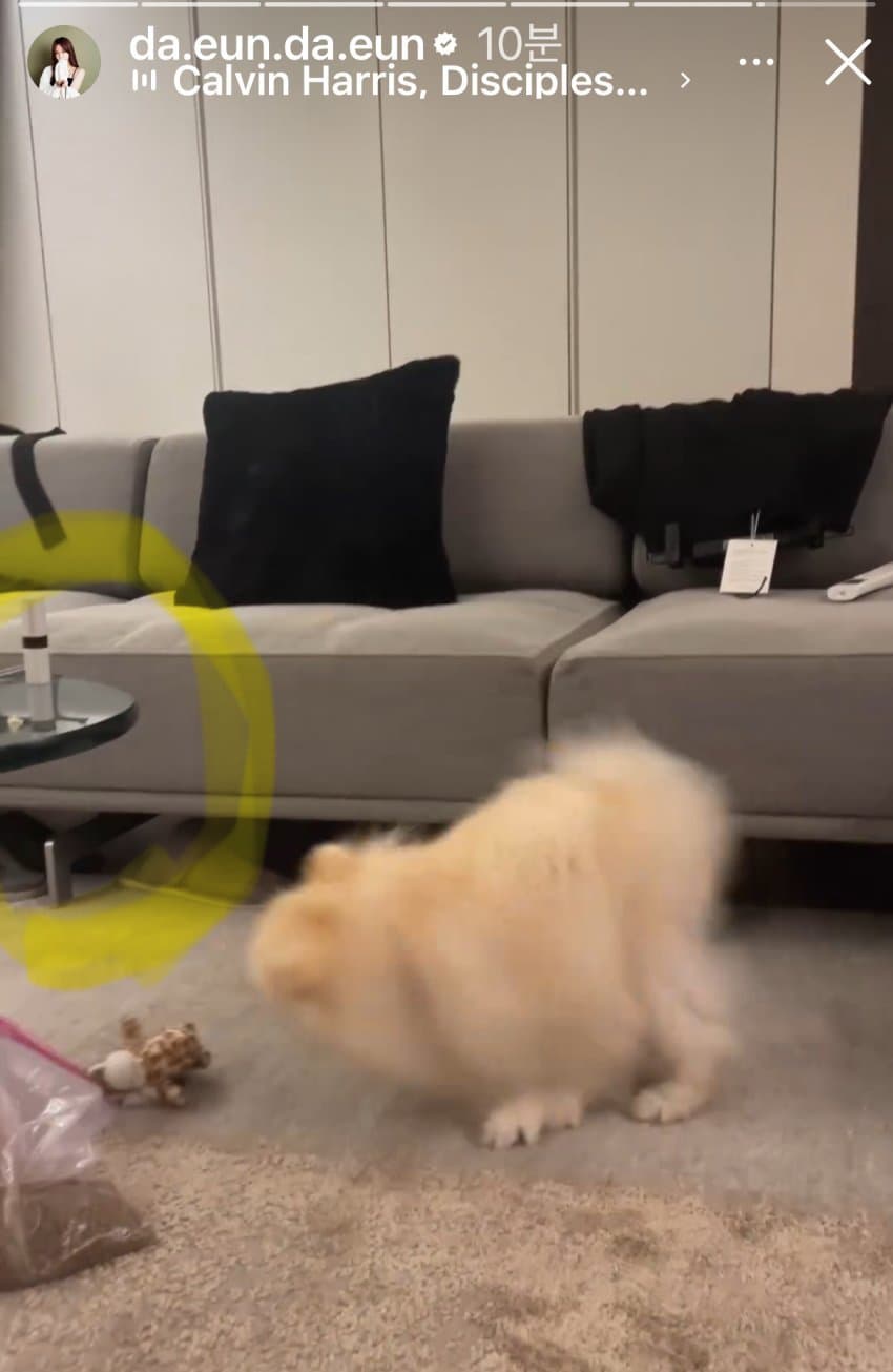 [정리글] 지민 팬들 송다은 괴롭히던거 진짜 악질인게 | 인스티즈