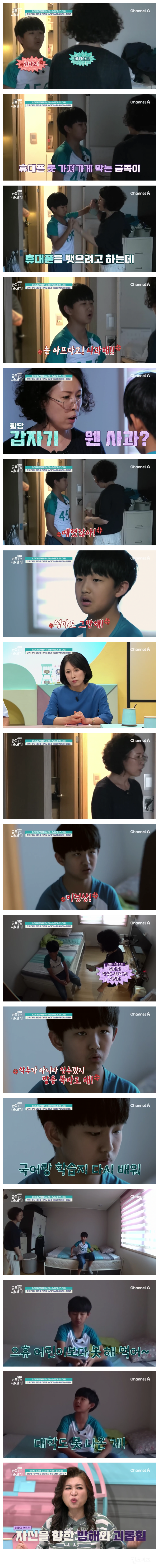 금쪽이들중 가장 순한편이었던 금쪽이.jpg | 인스티즈