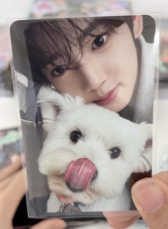 [잡담] 이런건 타팬 눈이 정확하다고 했음 | 인스티즈