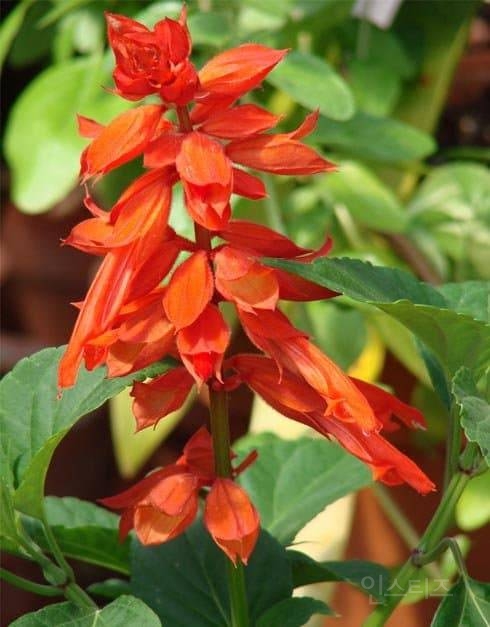 초딩들 꿀빨던 시절..jpg | 인스티즈