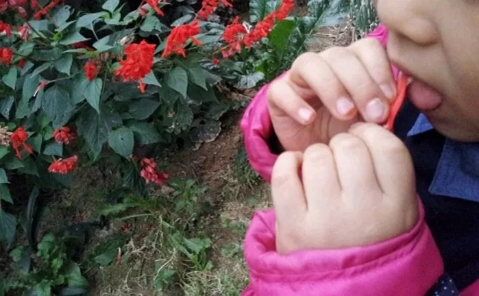 초딩들 꿀빨던 시절..jpg | 인스티즈