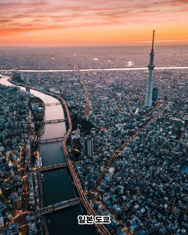 세계 유명 도시들에서 찍은 항공샷.jpg(서울 포함) | 인스티즈