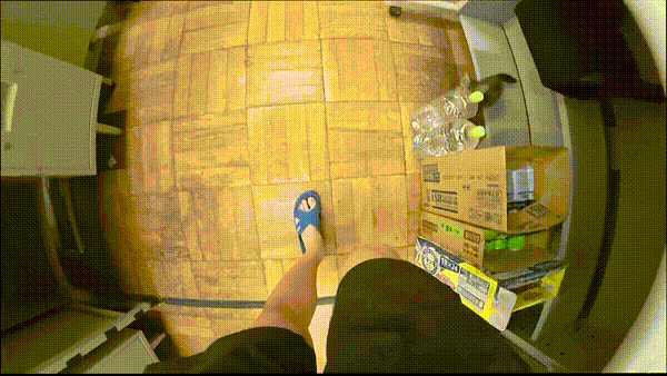 며칠 전 인티에 올라온 폐교에서 주운 아기고양이 코텐 최근 근황 | 인스티즈