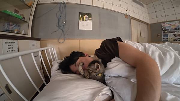 며칠 전 인티에 올라온 폐교에서 주운 아기고양이 코텐 최근 근황 | 인스티즈