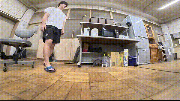 며칠 전 인티에 올라온 폐교에서 주운 아기고양이 코텐 최근 근황 | 인스티즈