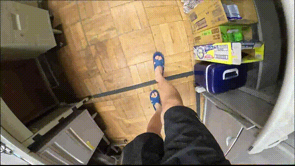 며칠 전 인티에 올라온 폐교에서 주운 아기고양이 코텐 최근 근황 | 인스티즈