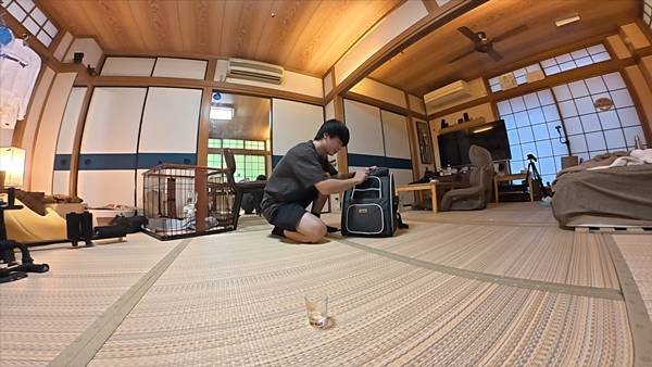 며칠 전 인티에 올라온 폐교에서 주운 아기고양이 코텐 최근 근황 | 인스티즈