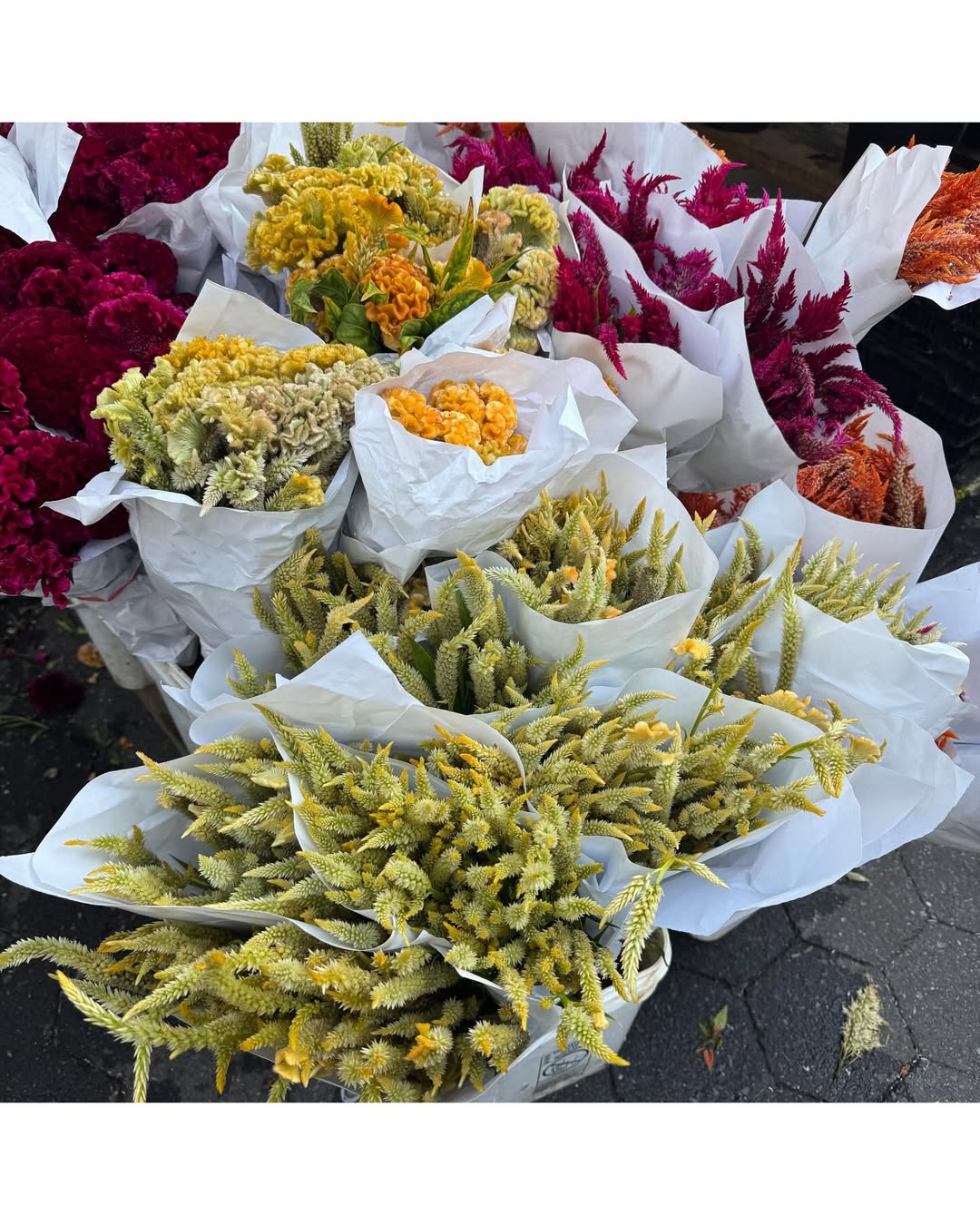 [잡담] 이준영 인스타 업뎃 | 인스티즈