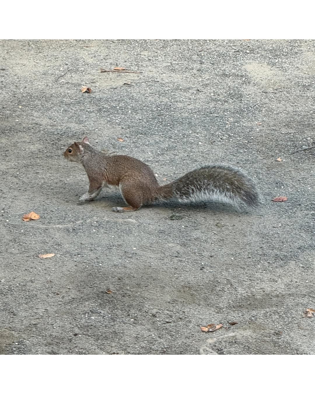 [잡담] 이준영 인스타 업뎃 | 인스티즈