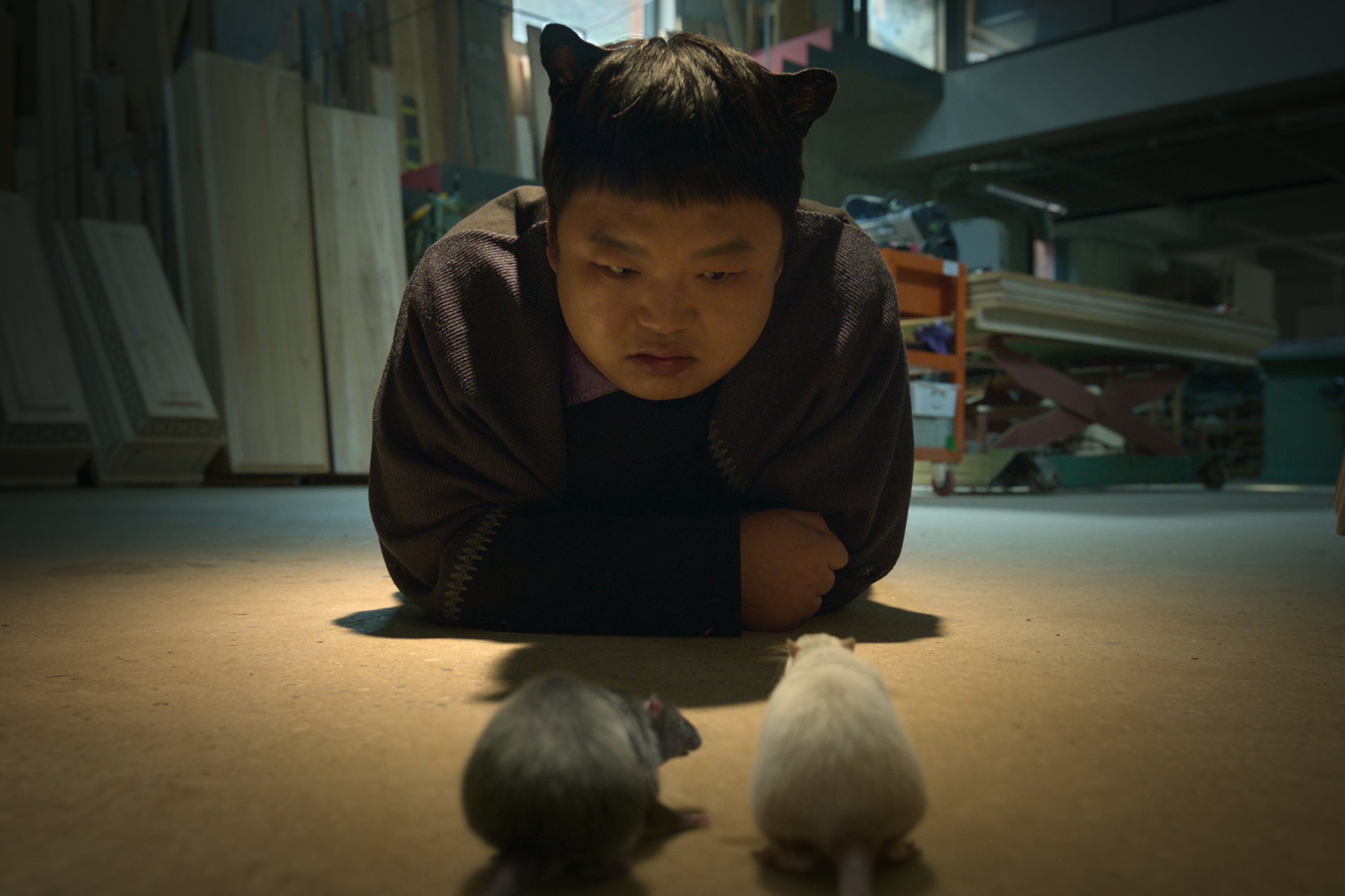 [정보/소식] 다지니 오늘 공개된 스틸컷 | 인스티즈