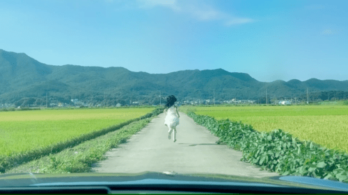 일본 영화 느낌 난다는 티저 영상 | 인스티즈
