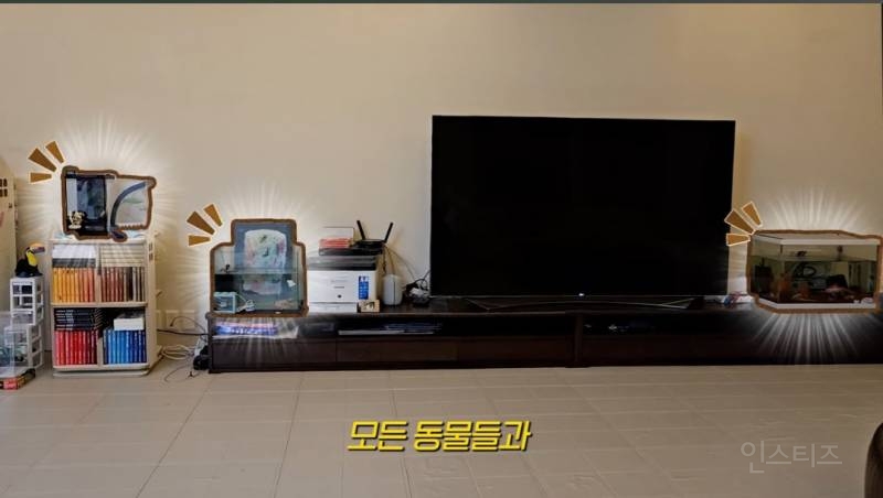 요즘 아들 때문에 파충류를 키우게 되었다는 한가인,연정훈 | 인스티즈