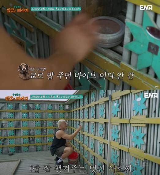 이집트가서 레전드 찍고 온 여행 예능 | 인스티즈