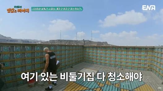 이집트가서 레전드 찍고 온 여행 예능 | 인스티즈