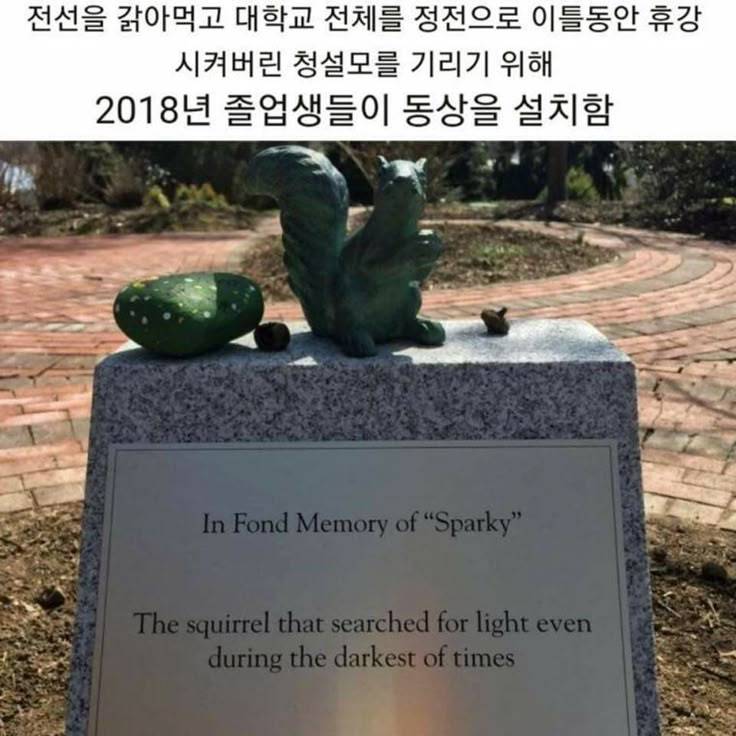 소개남이랑 스시 먹는데 날파리 날아다니길래 ... | 인스티즈