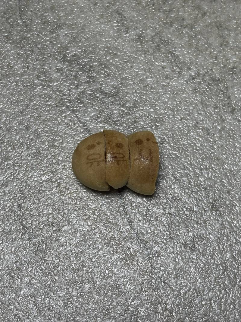 현재 롯데제과가 제2의 빼빼로데이 사태 일으켰다는 것..JPG | 인스티즈