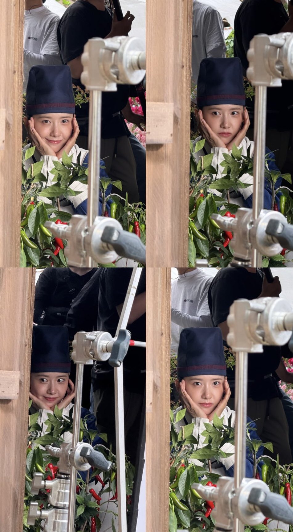 [잡담] 오늘도 왔습니다 폭셰 출석체크!!! 📢 | 인스티즈