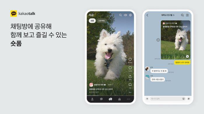 🚨카톡 전면개편된 모습..JPG | 인스티즈