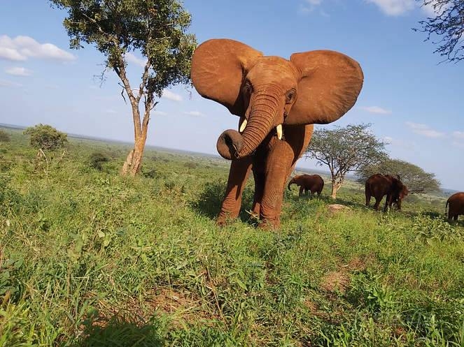 아프지마 도토 도토 잠보 근황 | 인스티즈