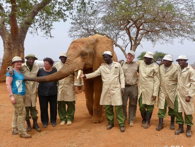 아프지마 도토 도토 잠보 근황 | 인스티즈