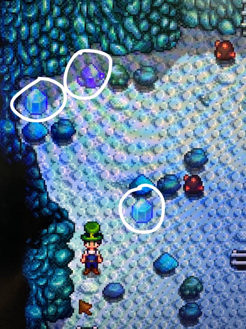 [잡담] 스타듀밸리 알려죠..... | 인스티즈