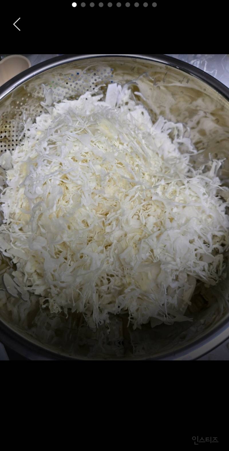 양배추를 많이 먹는 나라답게 채칼도 엄청 잘 만듬 | 인스티즈