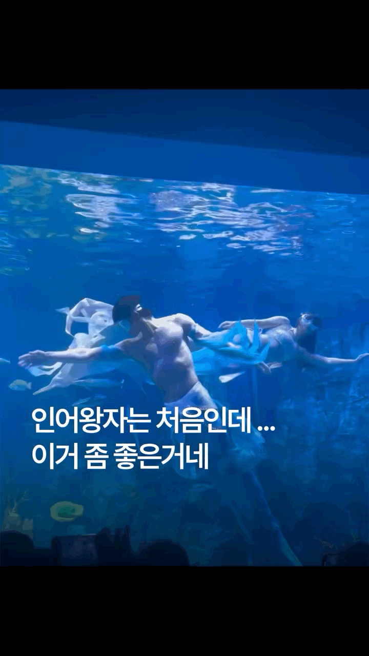 현재 미쳤다는 아쿠아리움 인어 연기자..🔞 | 인스티즈