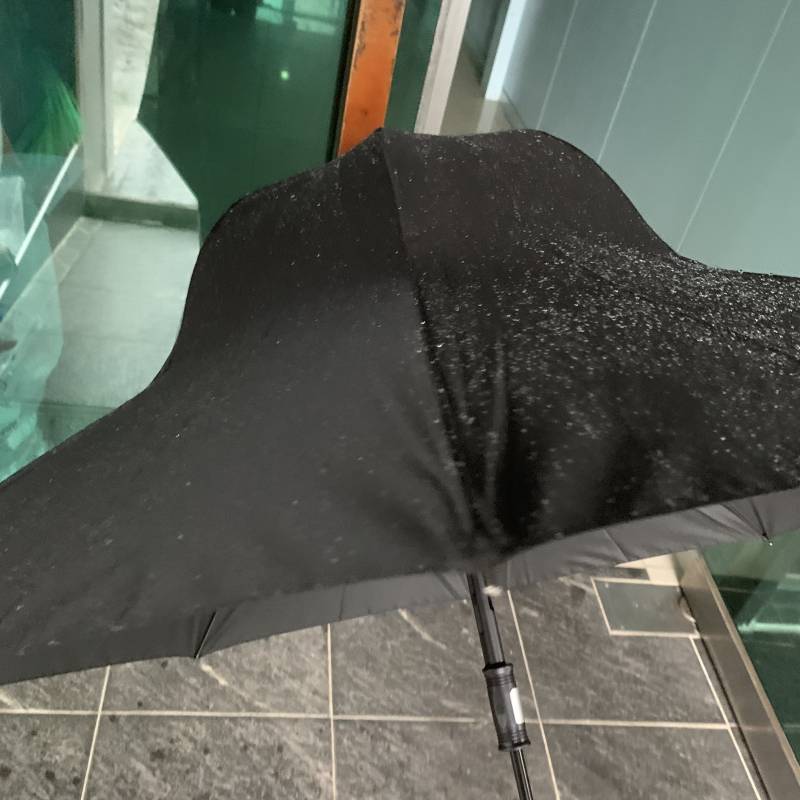 다이소 우산 십새끼 이거 꼴이 왜이래 | 인스티즈