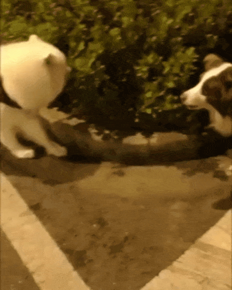 방구석 여포 특 | 인스티즈