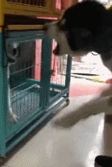 방구석 여포 특 | 인스티즈