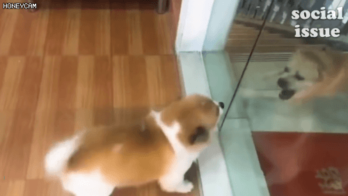 방구석 여포 특 | 인스티즈