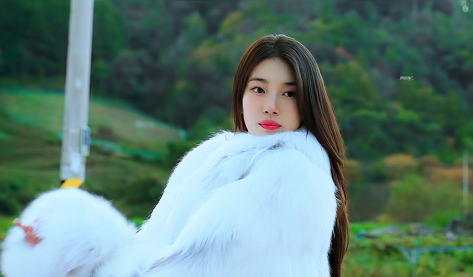 [잡담] 다지니) 지니야 상징 벚꽃이면 신수는 | 인스티즈