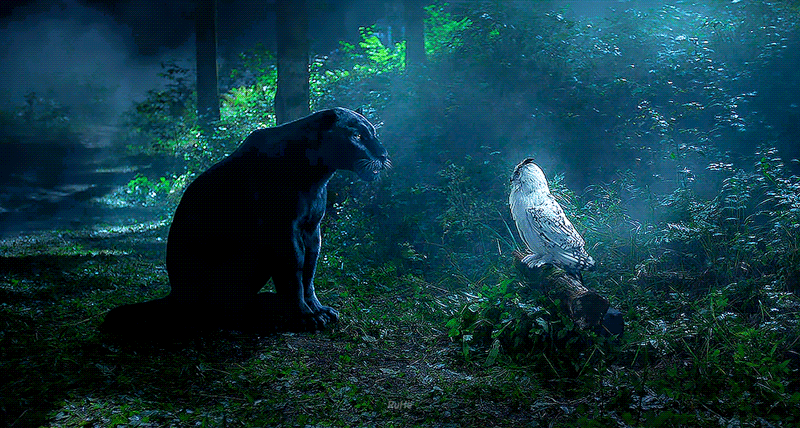 [잡담] 다지니에서 내 최애캐 | 인스티즈