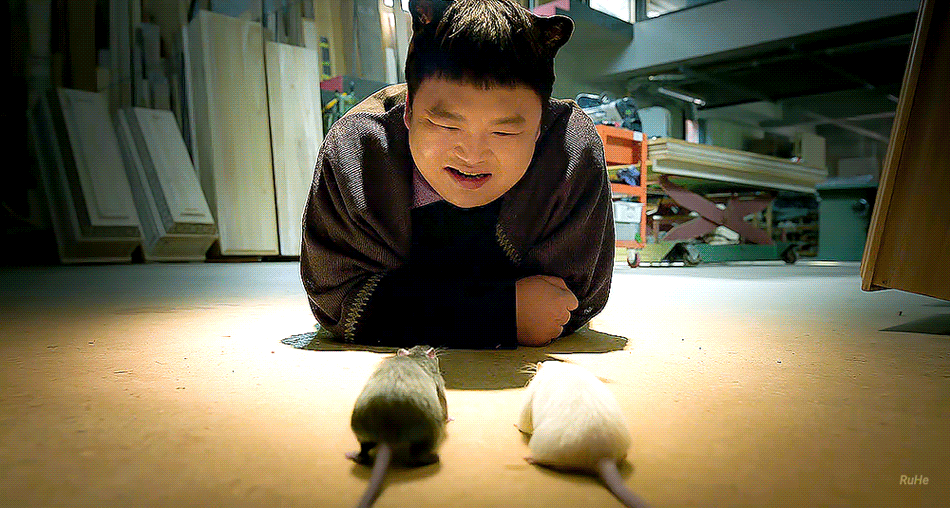 [잡담] 다지니에서 내 최애캐 | 인스티즈