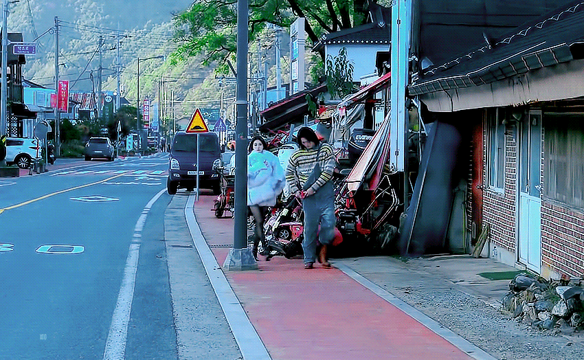 [잡담] 다지니) 지니야 상징 벚꽃이면 신수는 | 인스티즈