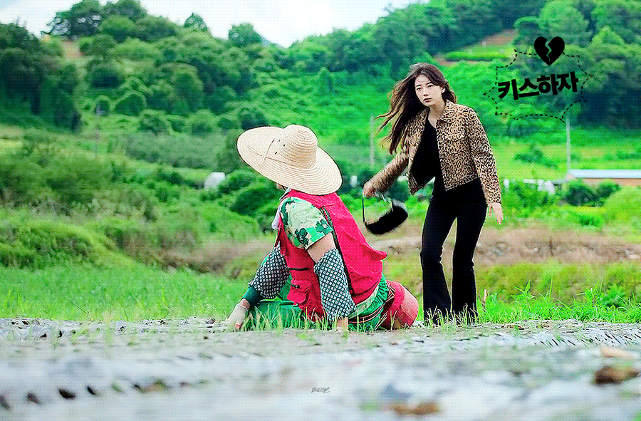 [잡담] 호피 입고 키스하자고 달려드는데 ㅈㅇ 다지니 수지 | 인스티즈