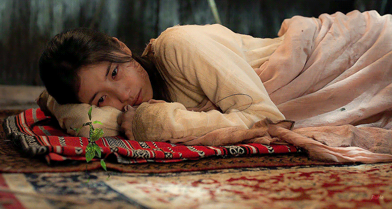 [잡담] 다지니 이 짤들 언제쯤 안 웃길까? ㅋㅋㅋㅋ | 인스티즈