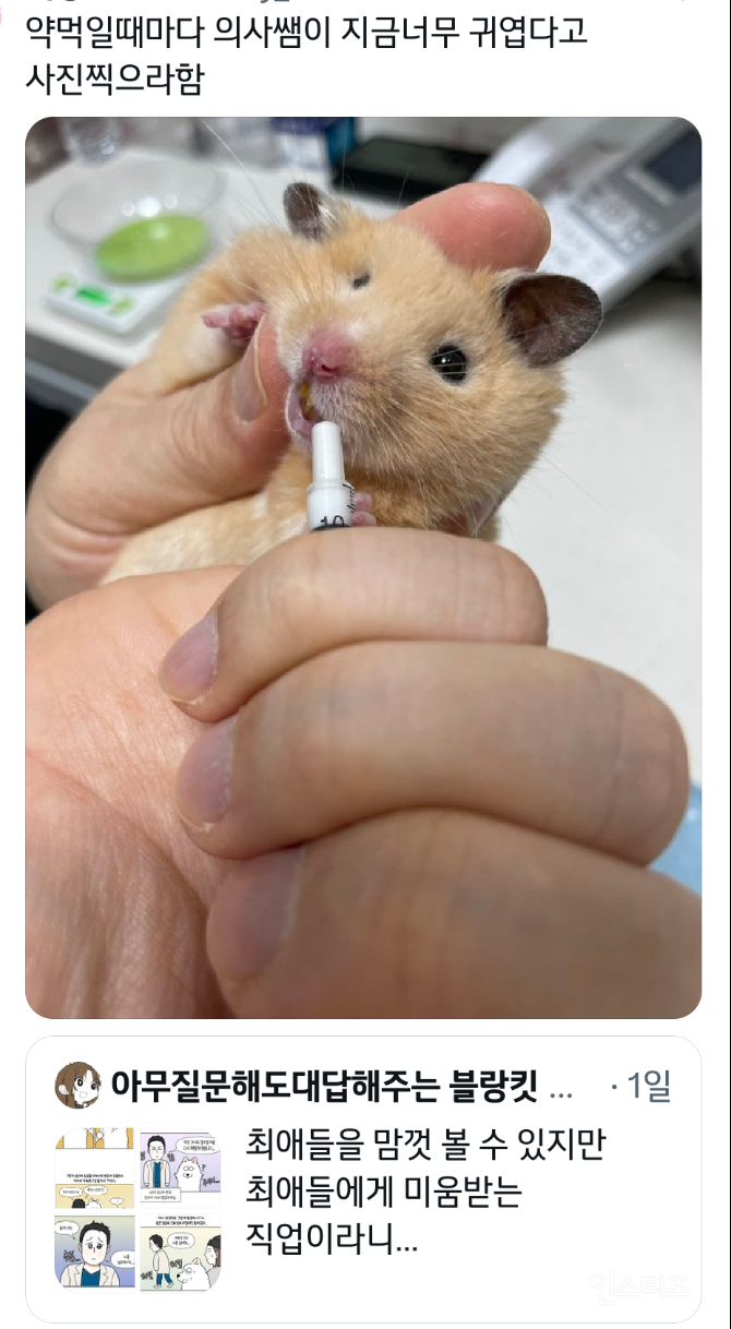 최애들을 맘껏 볼 수 있지만 최애들에게 미움받는 직업 | 인스티즈