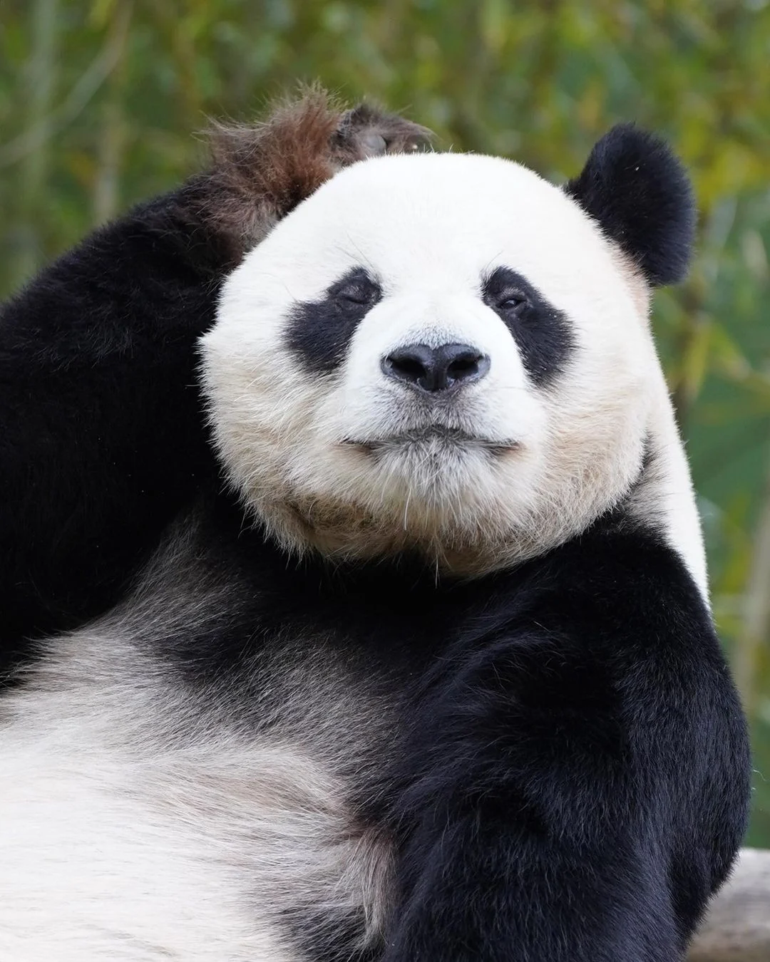 여자들이 좋아하는 남자곰상 | 인스티즈