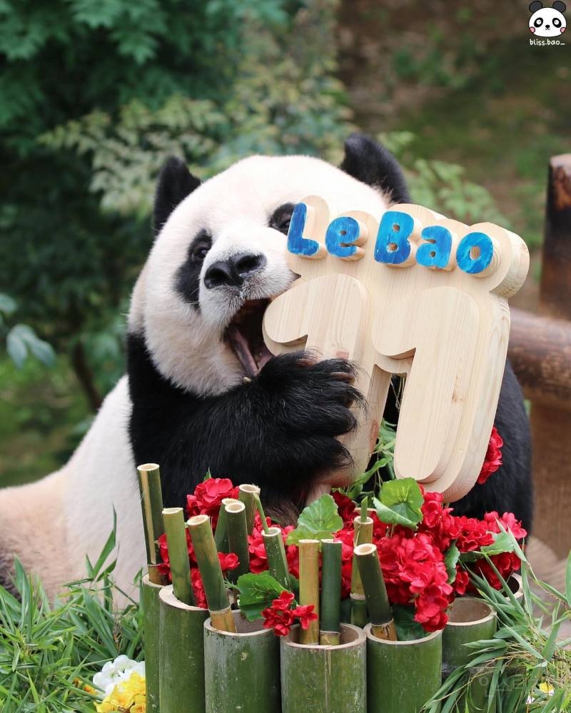 여자들이 좋아하는 남자곰상 | 인스티즈