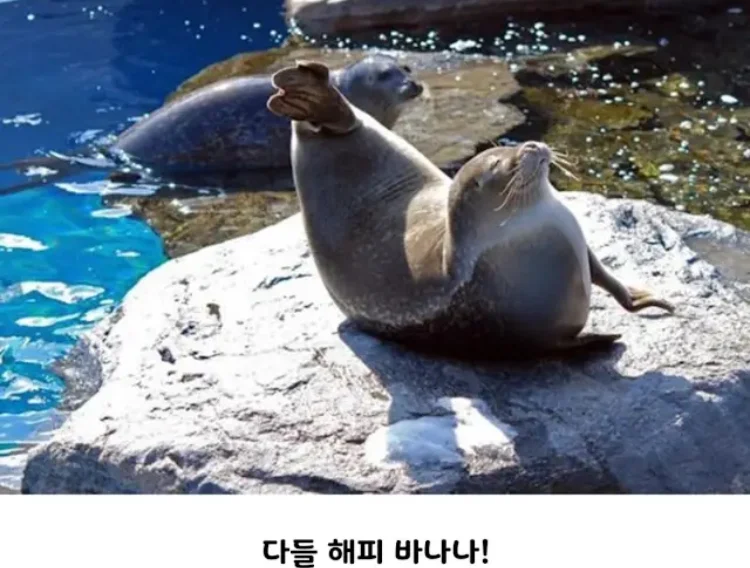 바다의 바나나로 불리는 것 | 인스티즈