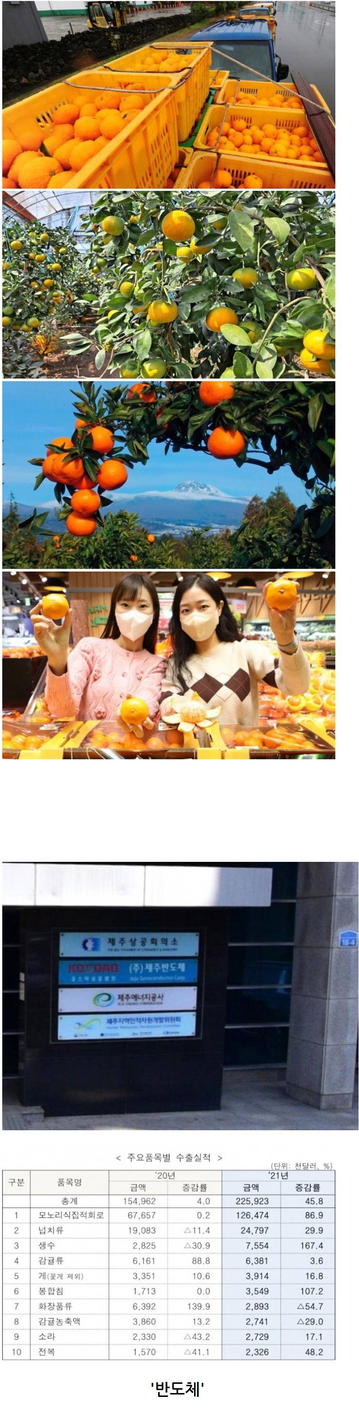 제주도 전체 수출품목 1위 ㄷㄷㄷ | 인스티즈