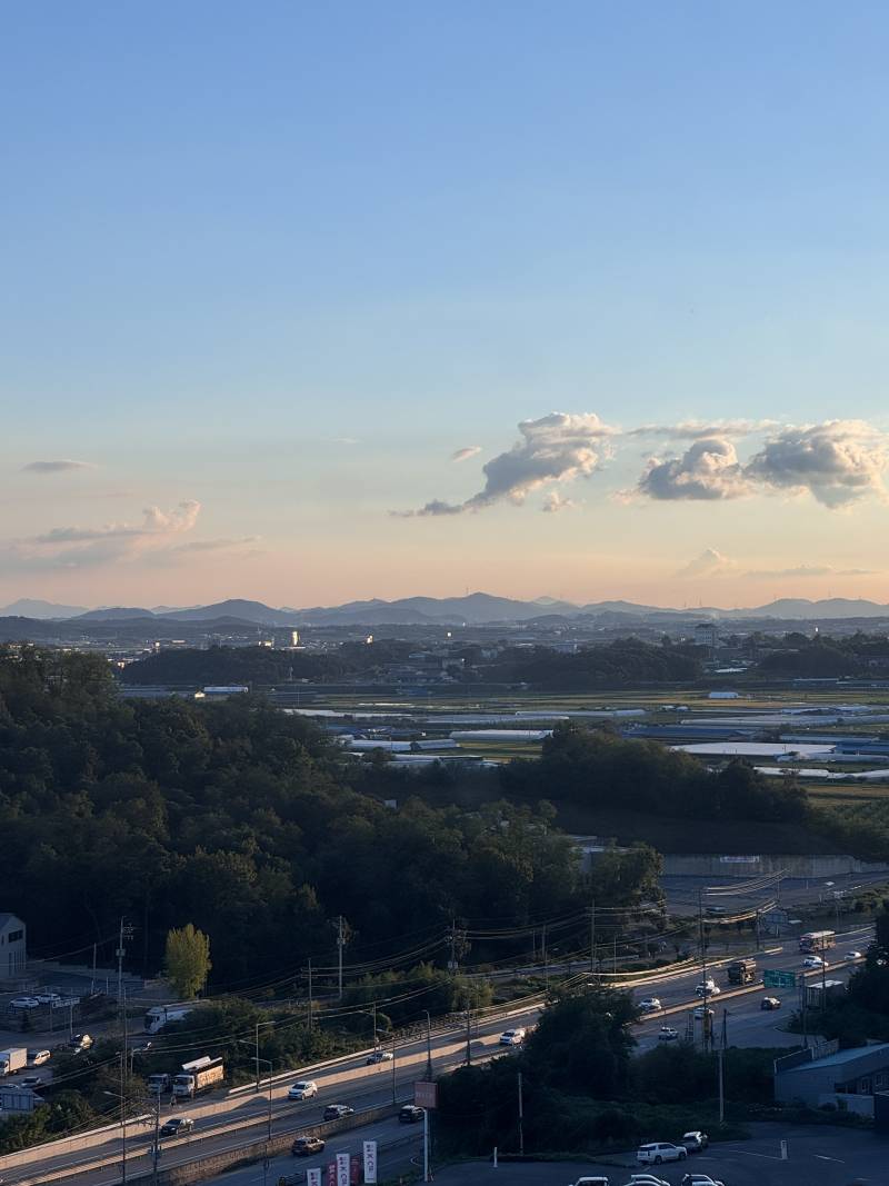 [피어있길바라] 사랑만큼 중요한 것이 존재할까 | 인스티즈