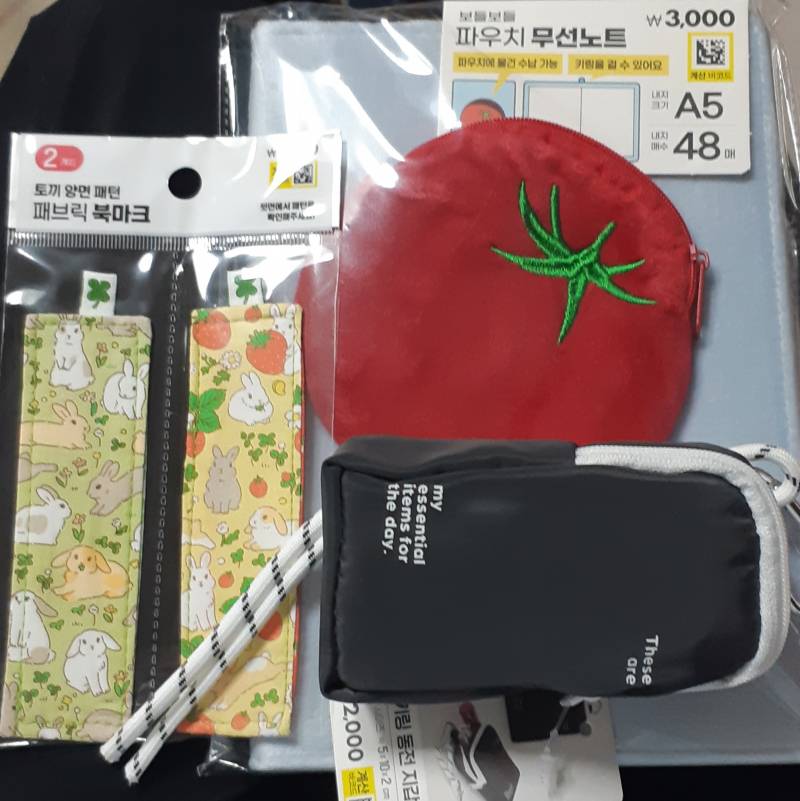 [잡담] 다이소 가서 6,000원 낭비 하고 왔다😅 | 인스티즈