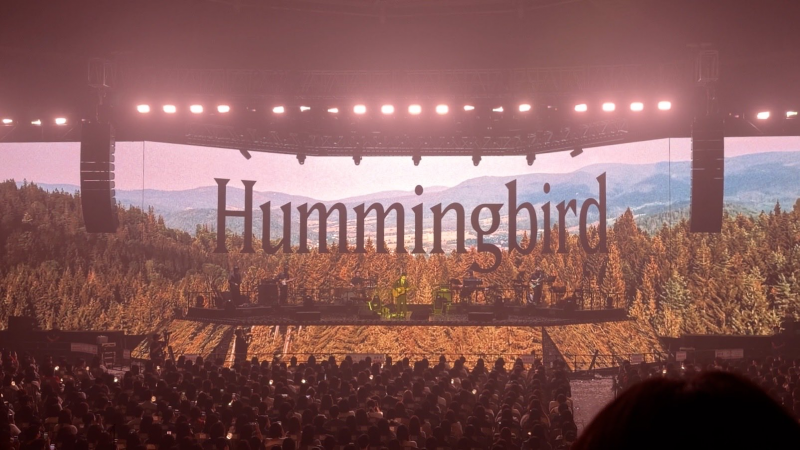 사진만 봐도 낭만 합격!!!!!! 외치게 된다는 콘서트 연출 | 인스티즈