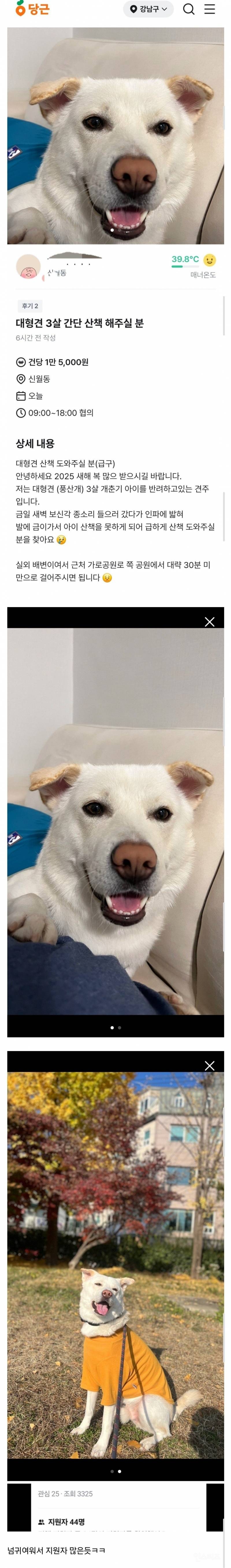 지원자 폭주했다는 강아지 산책 알바.jpg | 인스티즈