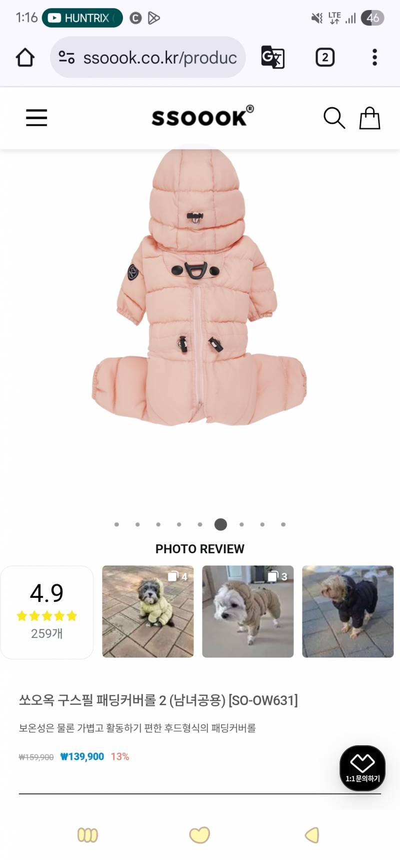 [잡담] 끄억 강아지 패딩 비싸당... | 인스티즈